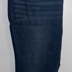 Belle Kim Gravel Stretch Rinse Wash Women’s Plus Sz 30 w 25” Inseam (S3b)